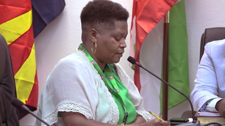 Ibibazo bihanze abarundi baba muri America: Iciyumviro ca Fidelite Kankindi